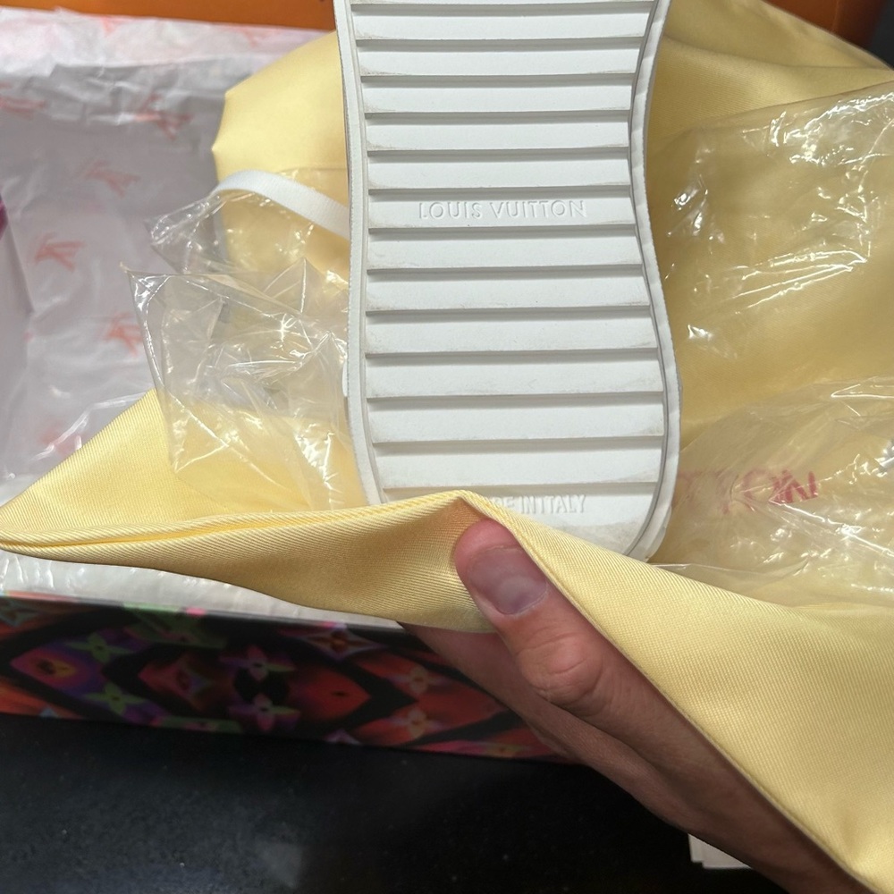 Louis Vuitton purchased of stock x
